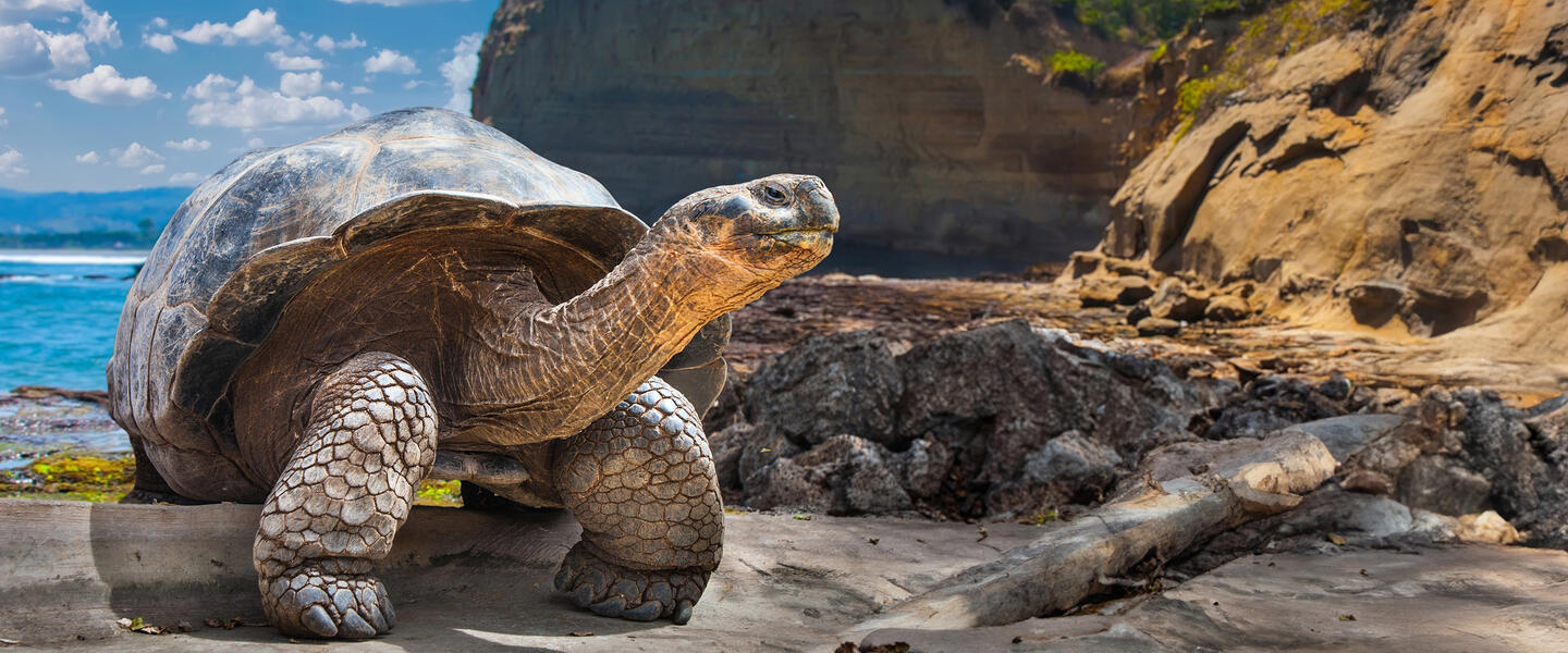 Ecuador und Galápagos - ein Land voller Wunder