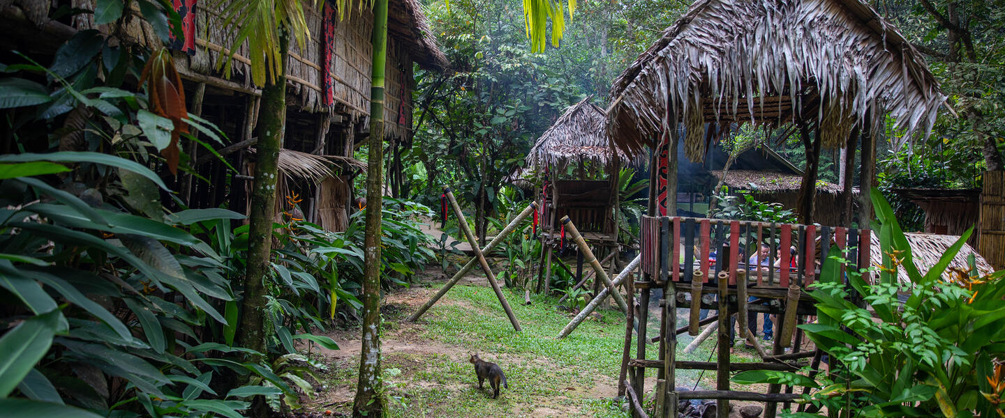 Naturparadies Borneo