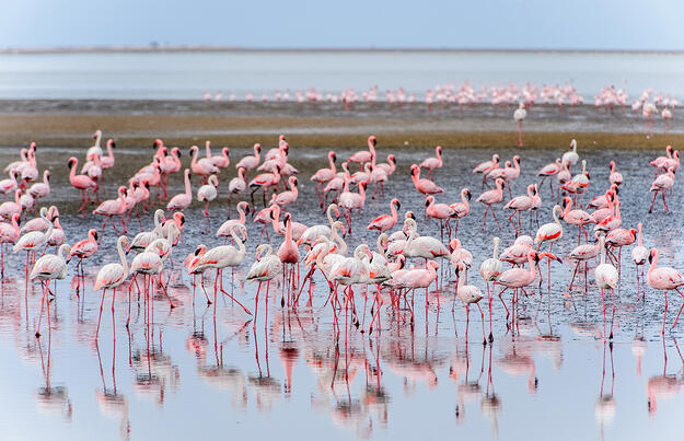 Namibia - Wildnis und Weite mit Flair Namibia - Wildnis und Weite mit Flair