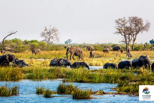 Naturschätze im südlichen Afrika
