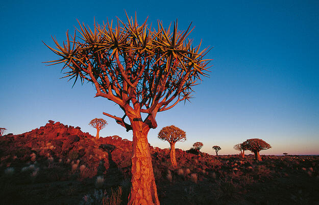Naturschätze im südlichen Afrika Naturschätze im südlichen Afrika