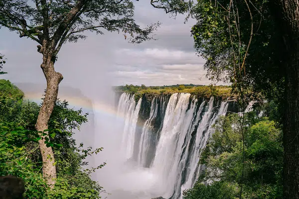 Simbabwe, Namibia, Botswana - im Herzen Afrikas