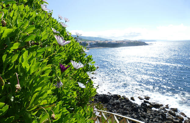 Azoren ─ schöne Grüne im Atlantik Azoren ─ schöne Grüne im Atlantik