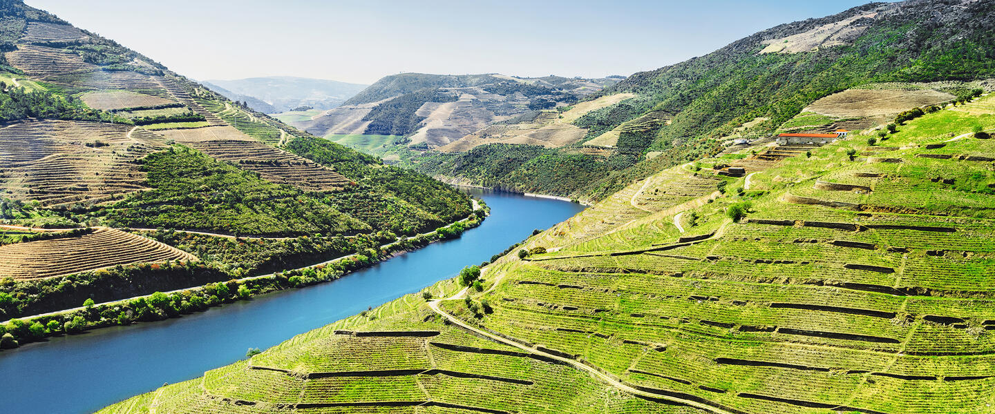 Nordportugal - bezauberndes Porto und liebliches Douro-Tal