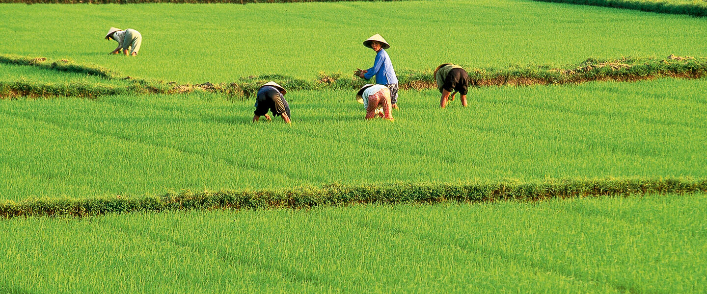 Vietnam zum Kennenlernen (2026)