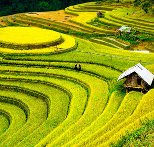 Kulturschätze in Vietnam und Kambodscha