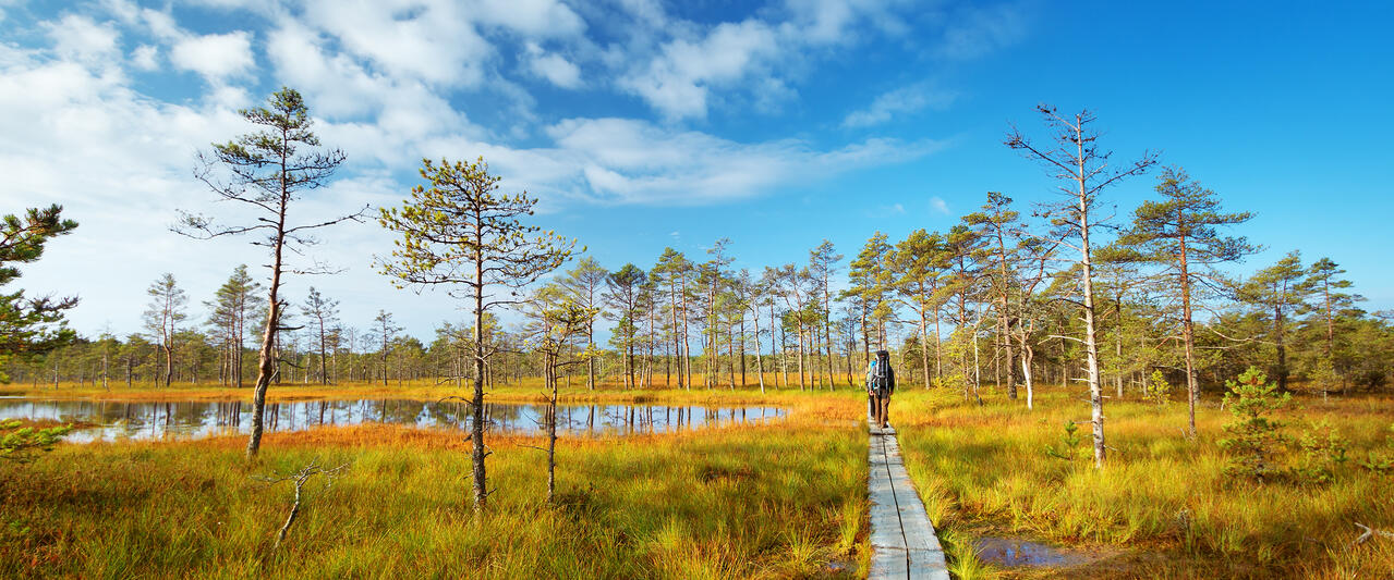Estlands Inselwelten, Nationalparks und Moorlandschaften Estlands Inselwelten, Nationalparks und Moorlandschaften