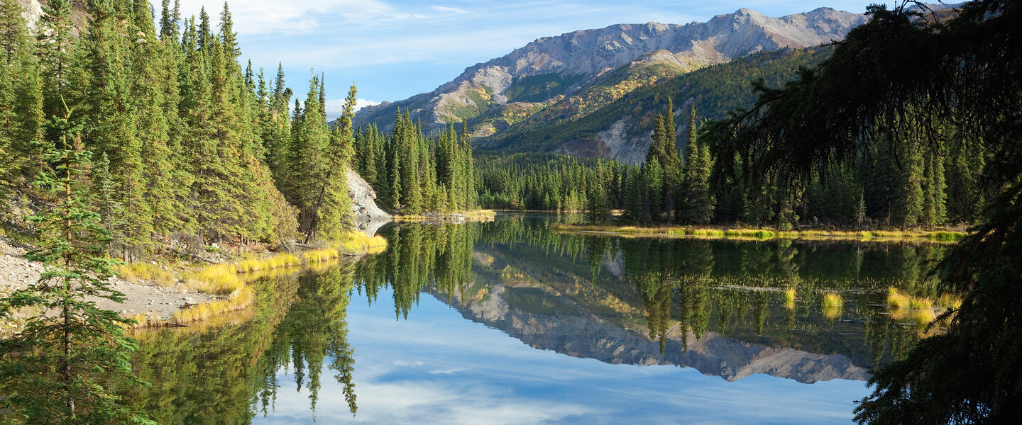 Glanzlichter Alaska und Yukon
