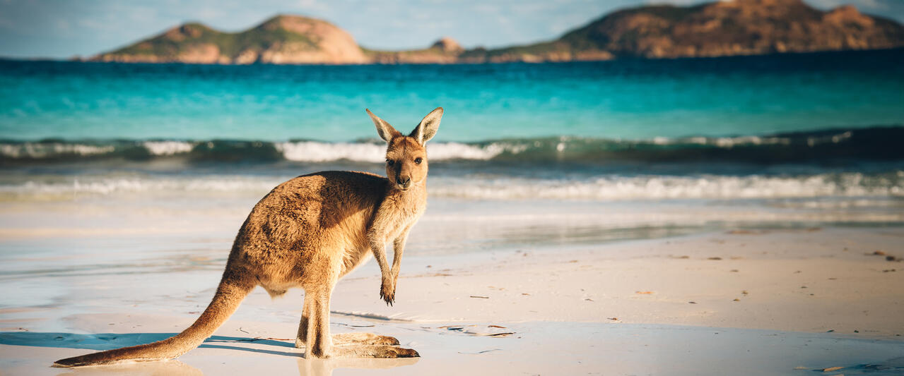 Australien in Style Australien in Style