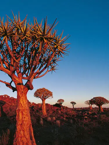 Maison Ambre Guesthouse, Windhoek