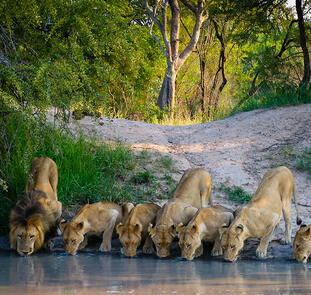 President Hotel, Kapstadt President Hotel, Kapstadt