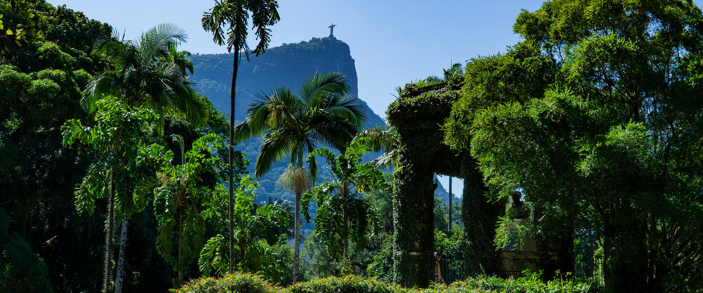 Rio intensiv erleben Rio intensiv erleben
