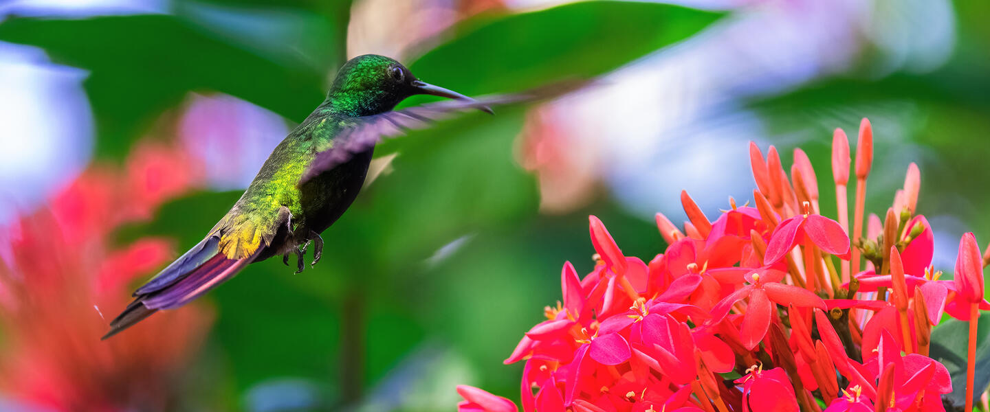 Rio intensiv erleben Rio intensiv erleben