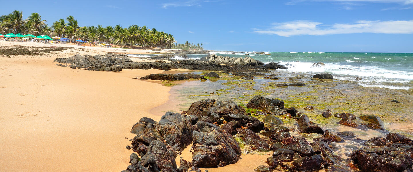 Baden an der Küste Bahias Baden an der Küste Bahias