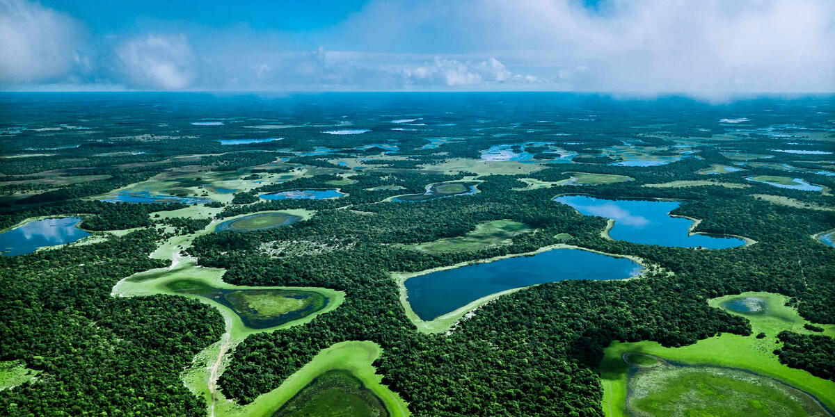 Natrparadies Pantanal