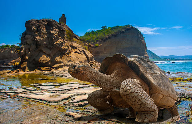 Ecuador und Galápagos zum Kennenlernen privat