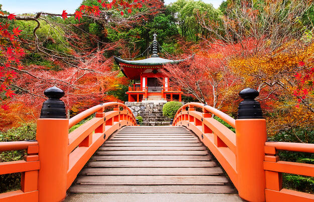 Höhepunkte Japans erleben