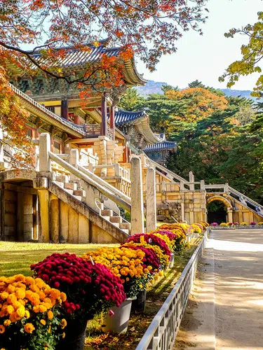 Südkorea authentisch