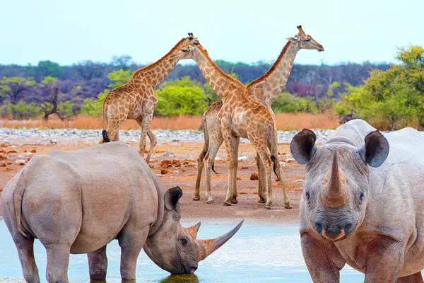 Namibia - von Windhoek zu den Victoria-Fällen privat