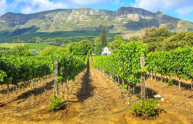 Südafrika Classics privat