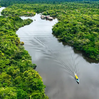 Posada Amazonas ─ Erlebnis Regenwald