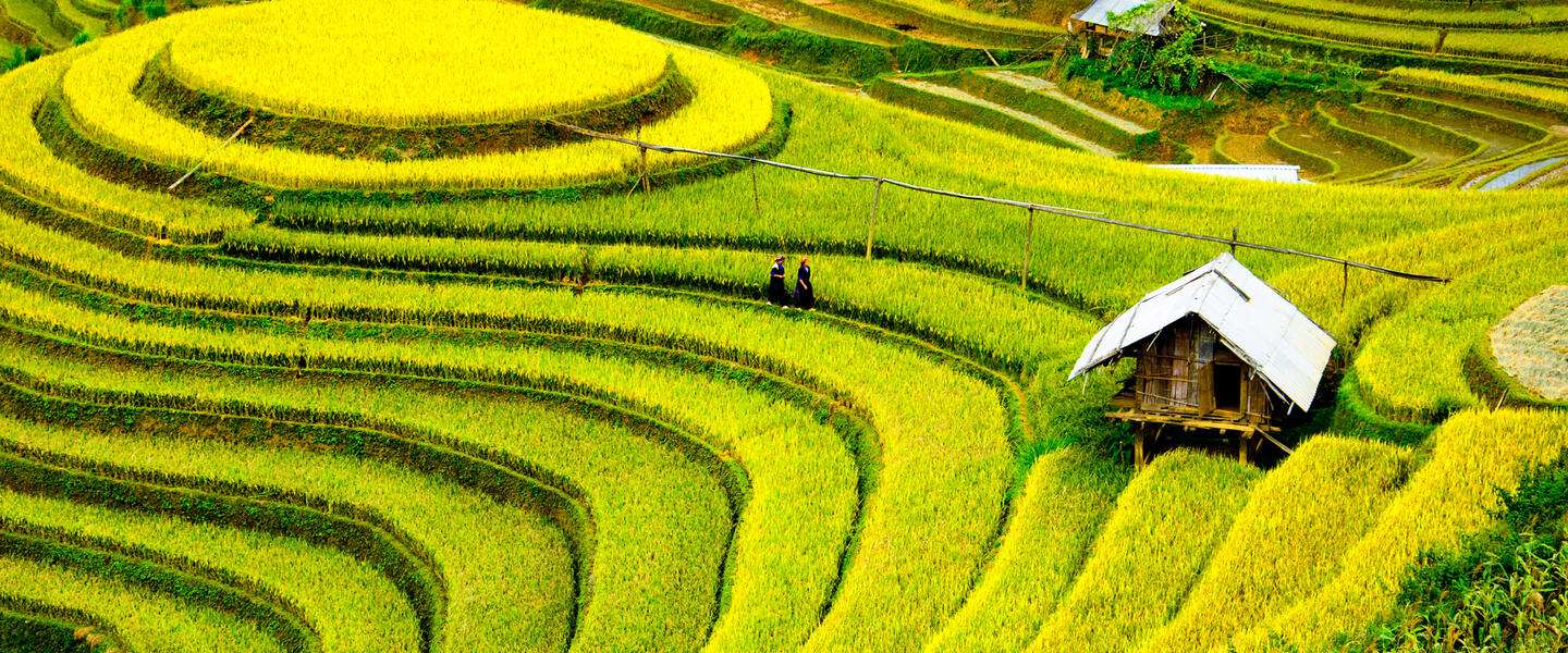 Vietnam facettenreich entdecken Vietnam facettenreich entdecken