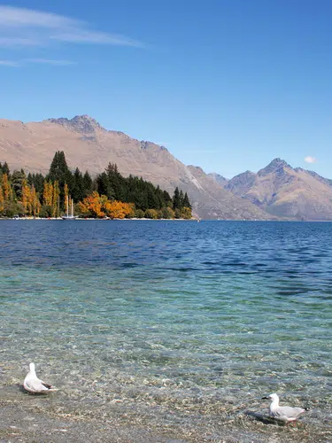 Neuseeländische Impressionen für Selbstfahrer - von Auckland nach Christchurch